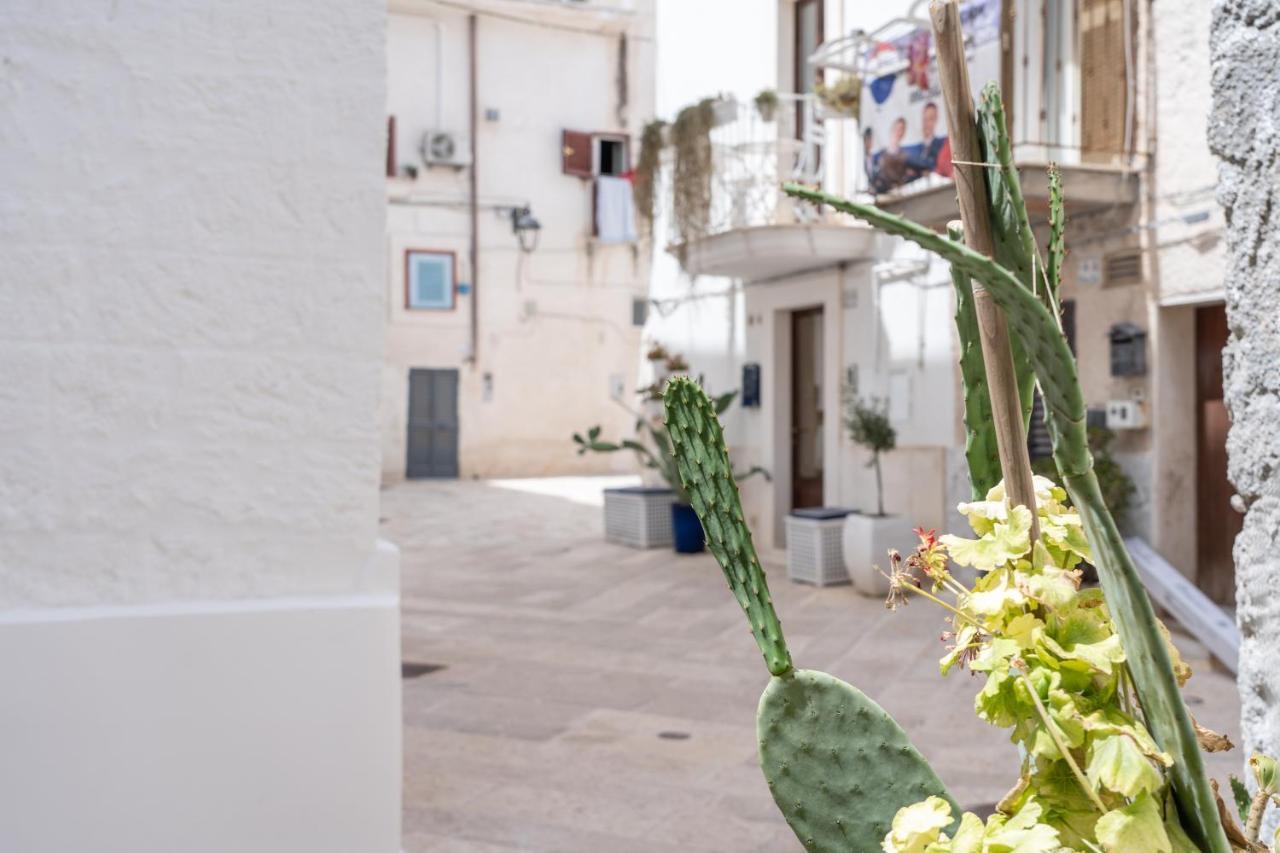 Wineart House, Terracielo Indipendente Nel Centro Di Monopoli公寓 外观 照片